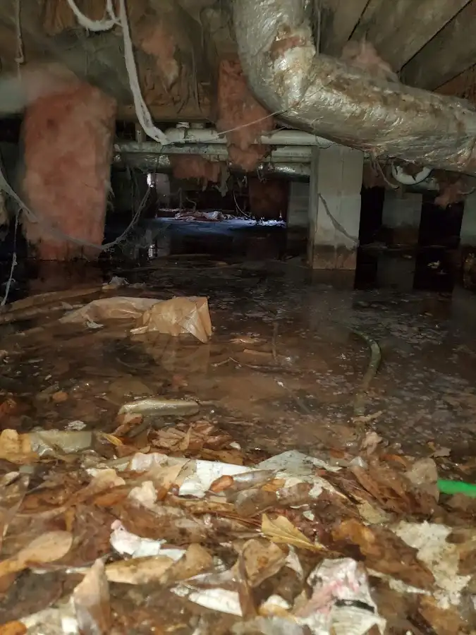 Crawl space flood assessment for Leak Detection & Repair in Amarillo